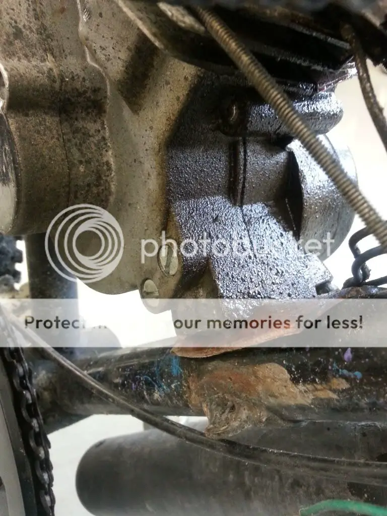 20130806_133834_zps8fdceaec.jpg