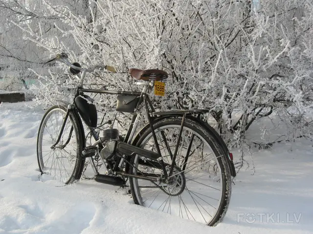 000029734390_%23_2_%23_sbech.jpg