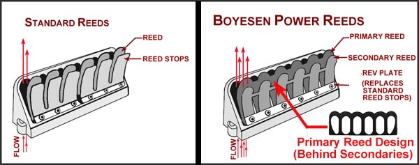 boyesen.jpg