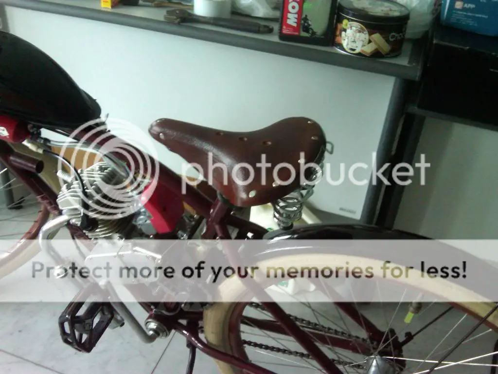 IMG00697-20130225-0829_zps45a41eee.jpg