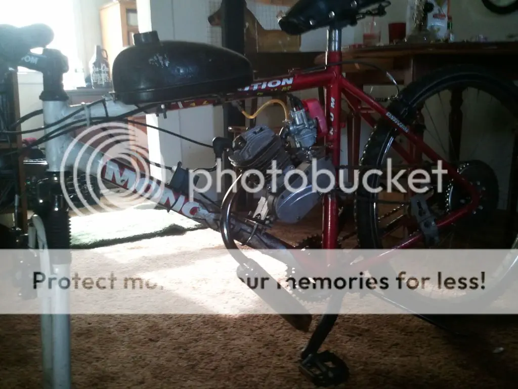 2012-02-08131605.jpg