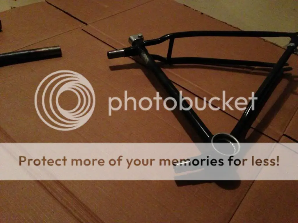 project11.jpg