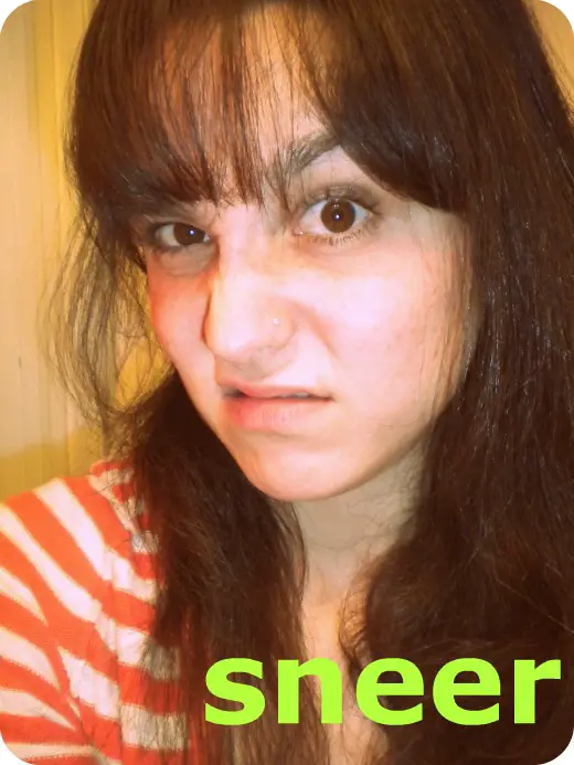 sneer2.jpg