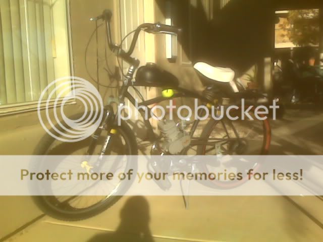 IMG00203.jpg