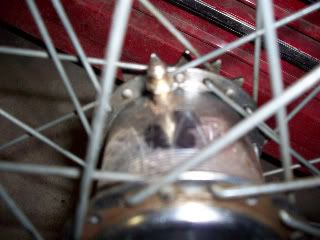 Picture005-1.jpg