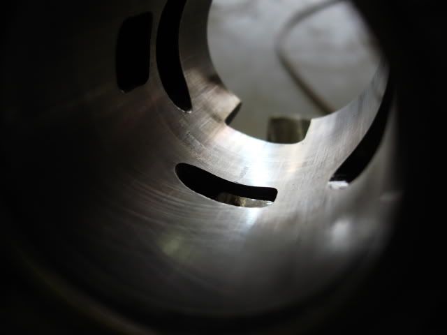 DSC01554.jpg
