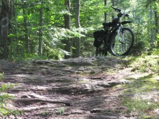 IMG_0894-1-1.jpg