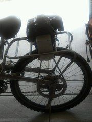 bike2.jpg