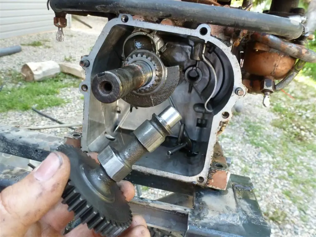P1000254.jpg