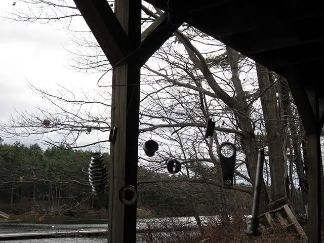 IMG_1374resized.jpg