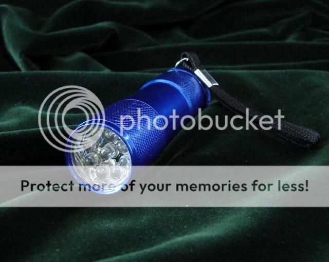DSC001149LEDFlashlightwithStrap.jpg