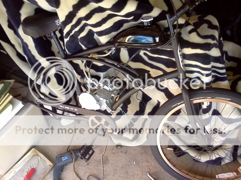 bikesssss.jpg