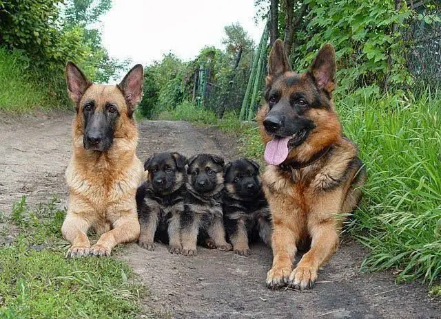 familyphoto.jpg
