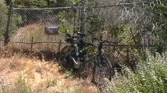M1240084.jpg