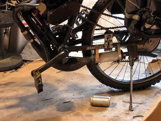 IMG_1249.jpg
