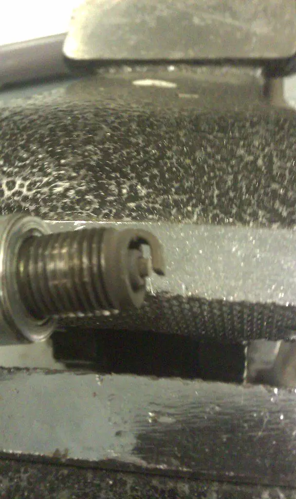 IMAG0397.jpg