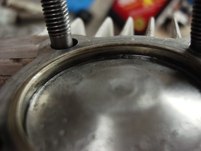DSC01567.jpg