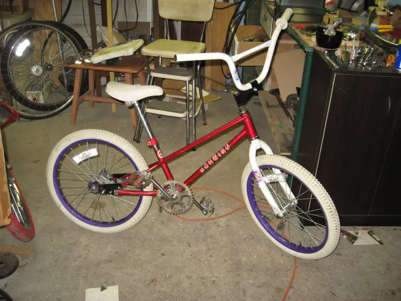 MiniPixieRay%20Mock%20Up%207.jpg