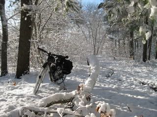 IMG_1427.jpg