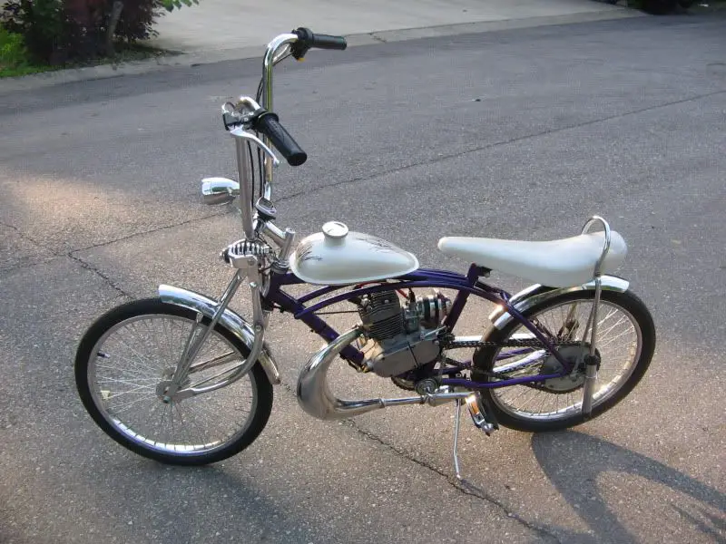 purple1.jpg