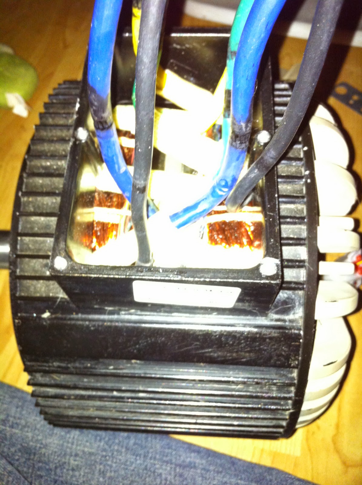 photo%2B3.JPG