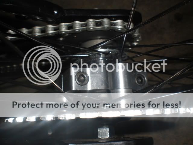 CIMG1107.jpg