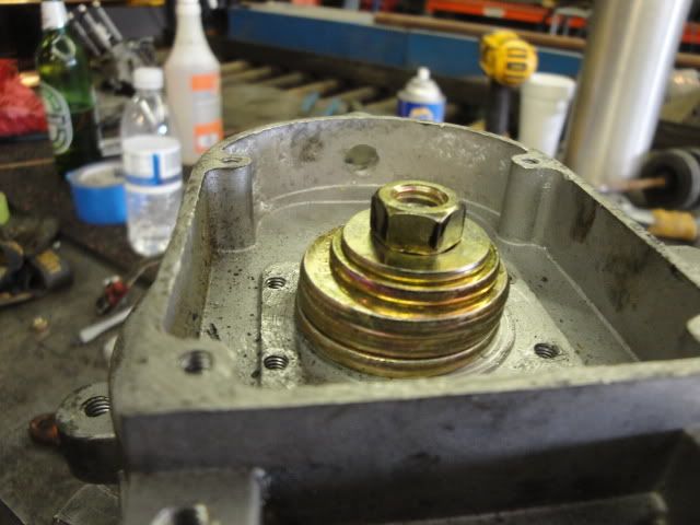 DSC01165-1.jpg