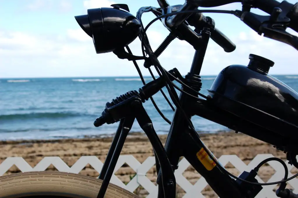 springer29er002.jpg
