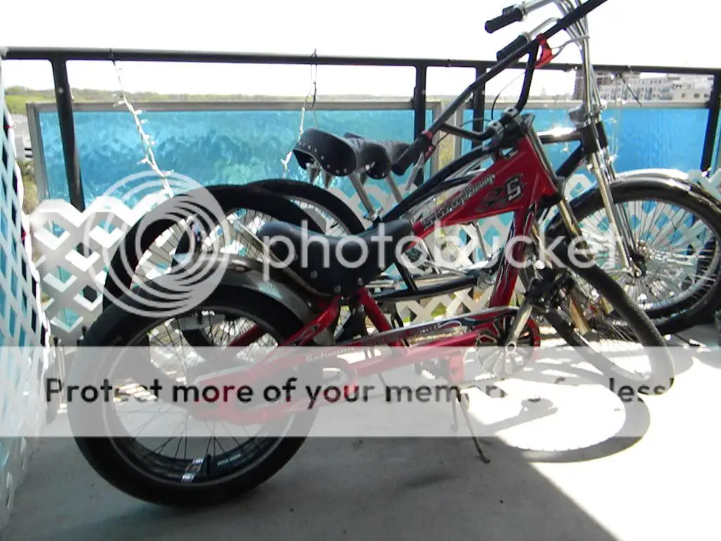 DSCN3239.jpg
