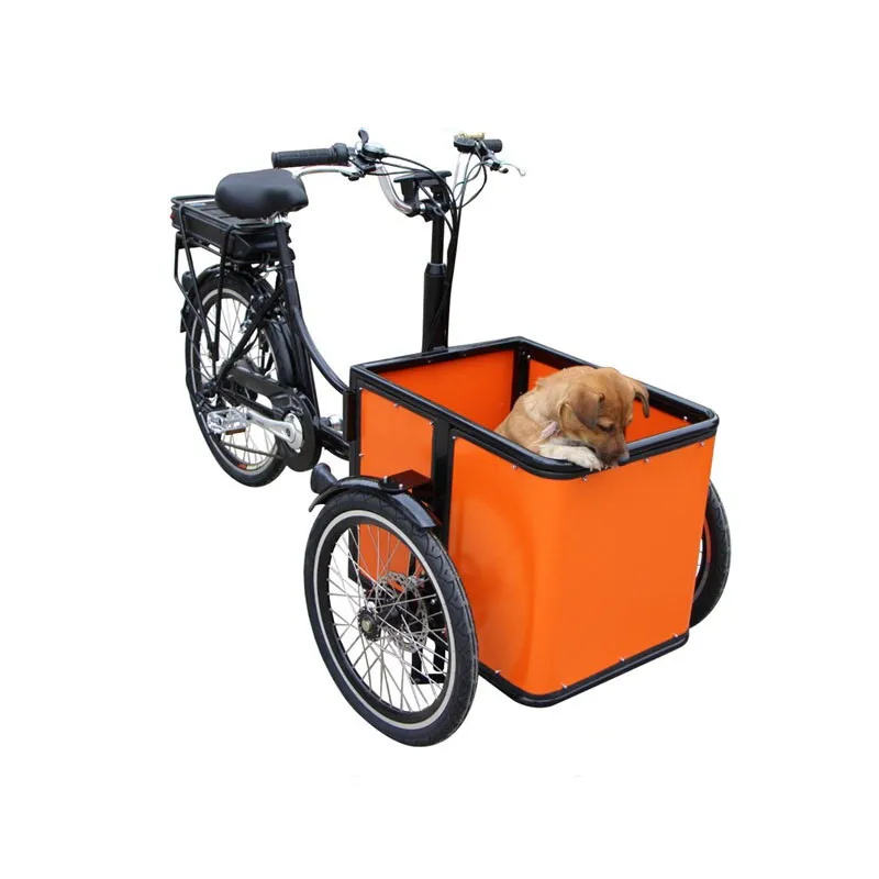 www.aliexpress.com